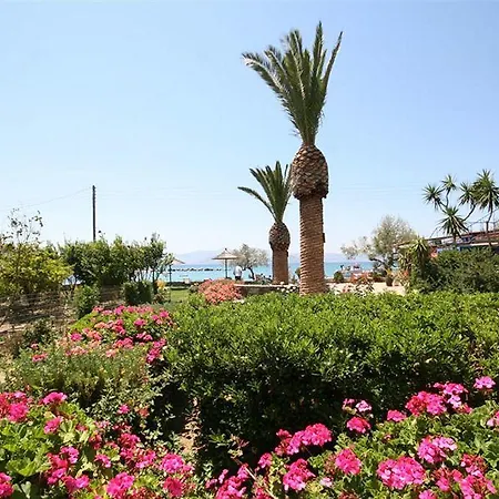 Szálloda Agia Anna Beachfront Boutique