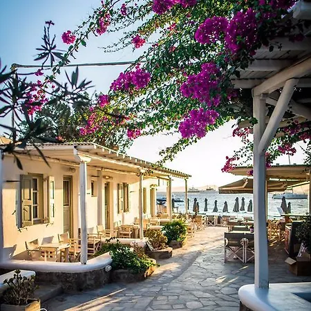 Agia Anna Beachfront Boutique Paraga (Mykonos)