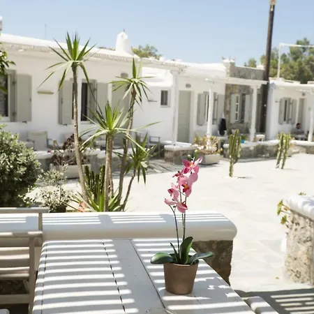 Szálloda Agia Anna Beachfront Boutique Paránga