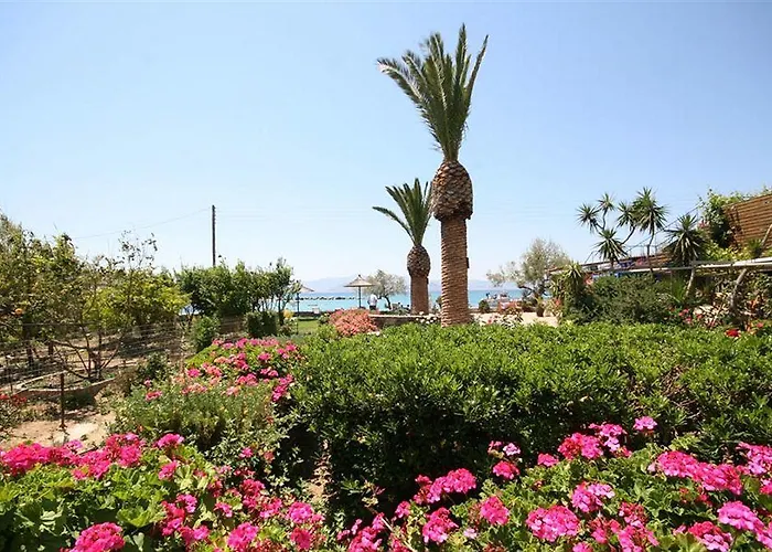 Ξενοδοχείο Agia Anna Beachfront Boutique